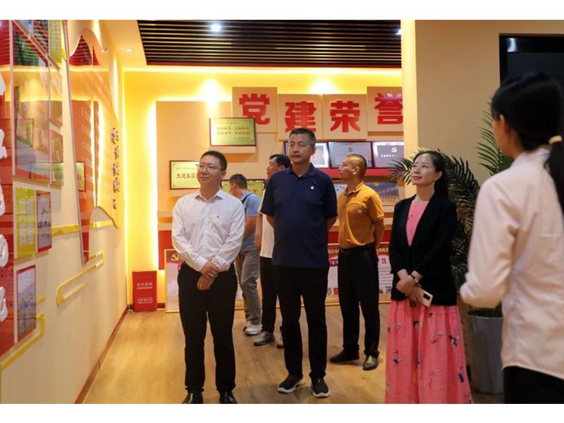 清華大學(xué)新能源學(xué)科專(zhuān)家團(tuán)蒞臨大方調(diào)研指導(dǎo)工作